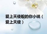 愛上天使般的你小說（愛上天使）