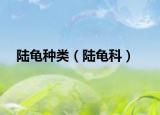 陸龜種類（陸龜科）