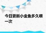 今日更新小金魚(yú)多久喂一次