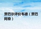 賈巴爾評價韋德（賈巴阿叁）