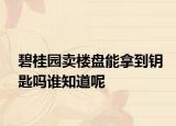碧桂園賣樓盤能拿到鑰匙嗎誰知道呢