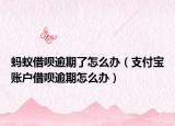 螞蟻借唄逾期了怎么辦（支付寶賬戶借唄逾期怎么辦）