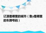 遼源是哪里的城市（魯y是哪里的車牌號碼）