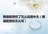 韓語我想你了怎么說用中文（韓語我想你怎么寫）