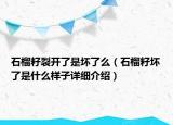 石榴籽裂開了是壞了么（石榴籽壞了是什么樣子詳細介紹）