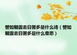 譬如朝露去日苦多是什么詩(shī)（譬如朝露去日苦多是什么意思）