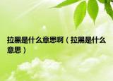 拉黑是什么意思?。ɡ谑鞘裁匆馑迹? /></span></a>
                        <h2><a href=