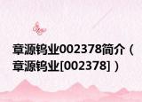 章源鎢業(yè)002378簡介（章源鎢業(yè)[002378]）
