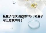 私生子可以分配財(cái)產(chǎn)嗎（私生子可以分家產(chǎn)嗎）
