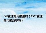 cvt變速箱用換油嗎（CVT變速箱用換濾芯嗎）