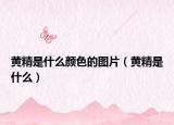 黃精是什么顏色的圖片（黃精是什么）