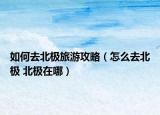 如何去北極旅游攻略（怎么去北極 北極在哪）