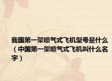 我國(guó)第一架噴氣式飛機(jī)型號(hào)是什么（中國(guó)第一架噴氣式飛機(jī)叫什么名字）