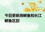 今日更新海鰣魚和長(zhǎng)江鰣魚區(qū)別