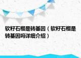 軟籽石榴是轉(zhuǎn)基因（軟籽石榴是轉(zhuǎn)基因嗎詳細介紹）
