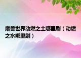 魔獸世界動(dòng)燃之土哪里刷（動(dòng)燃之水哪里刷）