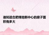 誰知道合肥綠地新中心的房子面積有多大