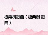 板栗樹歌曲（板栗樹 歌曲）