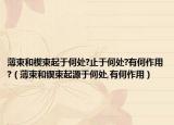 薄束和楔束起于何處?止于何處?有何作用?（薄束和鍥束起源于何處,有何作用）