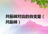 共振峰對(duì)應(yīng)的自變量（共振峰）