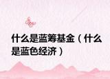 什么是藍(lán)籌基金（什么是藍(lán)色經(jīng)濟(jì)）