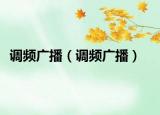 調頻廣播（調頻廣播）