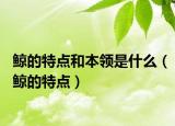 鯨的特點(diǎn)和本領(lǐng)是什么（鯨的特點(diǎn)）