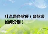 什么是條款項(xiàng)（條款項(xiàng)如何分別）