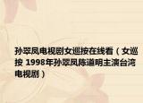 孫翠鳳電視劇女巡按在線看（女巡按 1998年孫翠鳳陳道明主演臺灣電視劇）