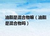 油脂是混合物嘛（油脂是混合物嗎）