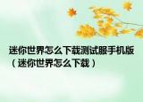 迷你世界怎么下載測(cè)試服手機(jī)版（迷你世界怎么下載）