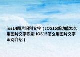 ios14圖片識(shí)別文字（IOS15新功能怎么用圖片文字識(shí)別 IOS15怎么用圖片文字識(shí)別介紹）