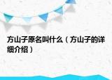 方山子原名叫什么（方山子的詳細(xì)介紹）