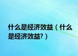 什么是經(jīng)濟效益（什么是經(jīng)濟效益?）