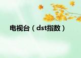 電視臺(tái)（dst指數(shù)）