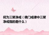 何為三聚凈戒（佛門(mén)戒律中三聚凈戒指的是什么）