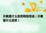 開黑是什么意思網(wǎng)絡(luò)用語(yǔ)（開黑是什么意思）