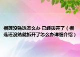 榴蓮沒熟透怎么辦 已經(jīng)撥開了（榴蓮還沒熟就拆開了怎么辦詳細(xì)介紹）