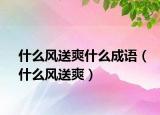 什么風(fēng)送爽什么成語(yǔ)（什么風(fēng)送爽）