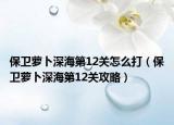 保衛(wèi)蘿卜深海第12關(guān)怎么打（保衛(wèi)蘿卜深海第12關(guān)攻略）