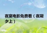夜宴電影免費看（夜凝夕上）