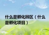 什么是孵化園區(qū)（什么是孵化項目）