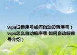wps設(shè)置序號(hào)如何自動(dòng)設(shè)置序號(hào)（wps怎么自動(dòng)編序號(hào) 如何自動(dòng)編序號(hào)介紹）
