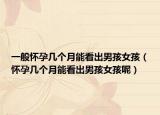 一般懷孕幾個(gè)月能看出男孩女孩（懷孕幾個(gè)月能看出男孩女孩呢）