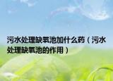 污水處理缺氧池加什么藥（污水處理缺氧池的作用）