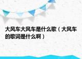 大風(fēng)車大風(fēng)車是什么歌（大風(fēng)車的歌詞是什么?。? /></span></a>
                        <h2><a href=