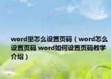 word里怎么設(shè)置頁碼（word怎么設(shè)置頁碼 word如何設(shè)置頁碼教學(xué)介紹）
