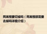 茼蒿根要切掉嗎（茼蒿根部需要去掉嗎詳細(xì)介紹）