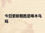 今日更新戴勝是啄木鳥嗎