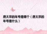 唐太宗的年號是哪個（唐太宗的年號是什么）